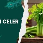 Pravi Celer: Discover the True Benefits of Organic Celery