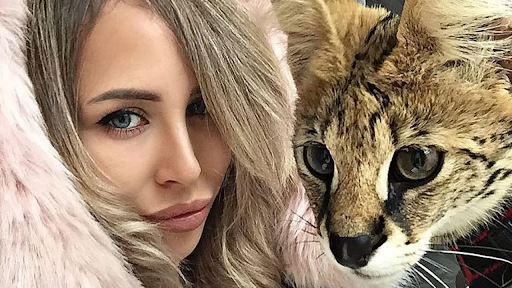 The Untold Story of Big Cat Wife: Stephanie Maloney Katz, Family, Career, and Personal Life