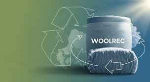 Woolrec: Unlocking the Future of Recycling and Sustainability